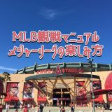 【MLB観戦マニュアル】メジャーリーグの楽しみ方
